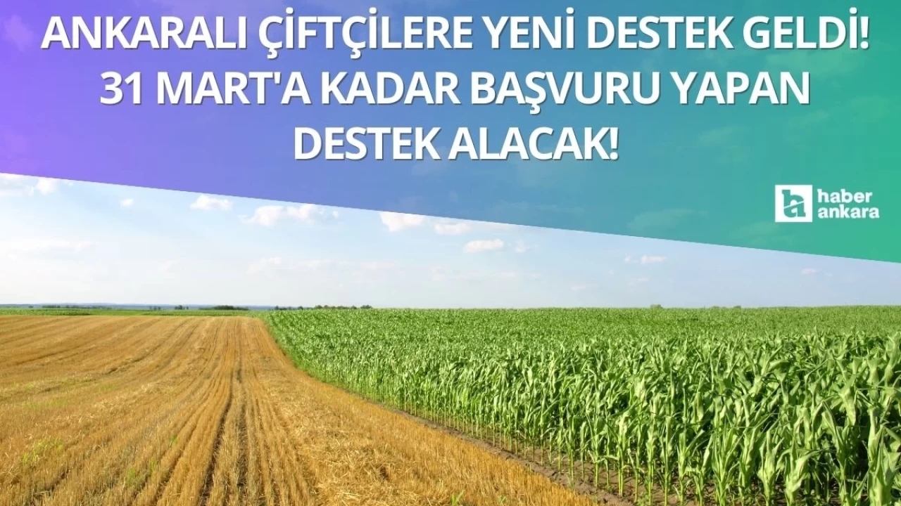 Ankaralı çiftçilere yeni destek geldi! 31 Mart'a kadar başvuru yapan yüzde 90 hibe ile destek alacak!