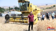Pursaklar Belediyesi'nin çabalarıyla ekilen sebze ve meyvelerde hasat başladı!