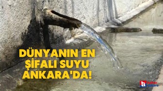 Avrupa'nın en şifalı suyunun kaynağı Ankara'da çıktı! İşte adresi