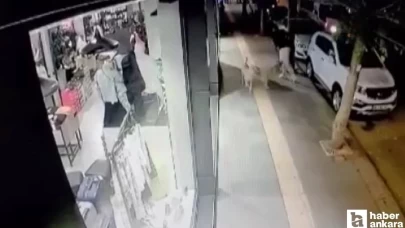Ankara'da başıboş sokak köpeği saldırısı! Genci bacağından ısırdı