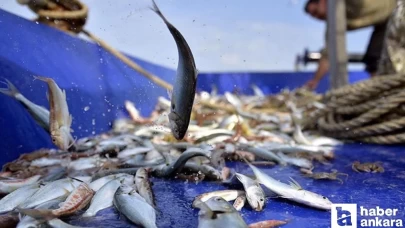 2023 2024 balıkçılık av sezonu ne zaman kapanıyor?