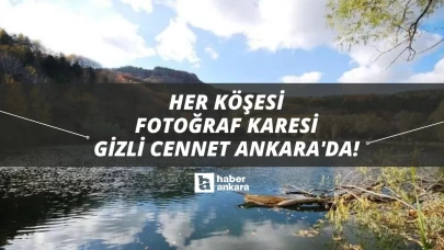 Her köşesinde fotoğraf karesi gizli o cennet Ankara'da! Kimse bilmiyor giden adeta doğaya şahitlik ediyor