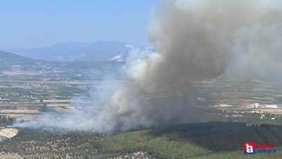 Kahramanmaraş ve Bodrum Milas'ta orman yangını! Müdahale devam ediyor!
