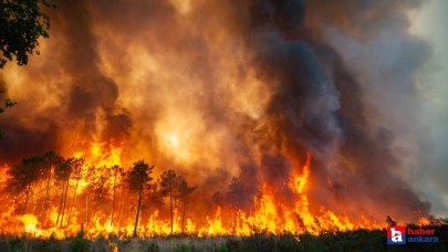 Aman dikkat! Akdeniz ve Güney Ege'de orman yangını tehlikesi! Uzmanlar uyardı!