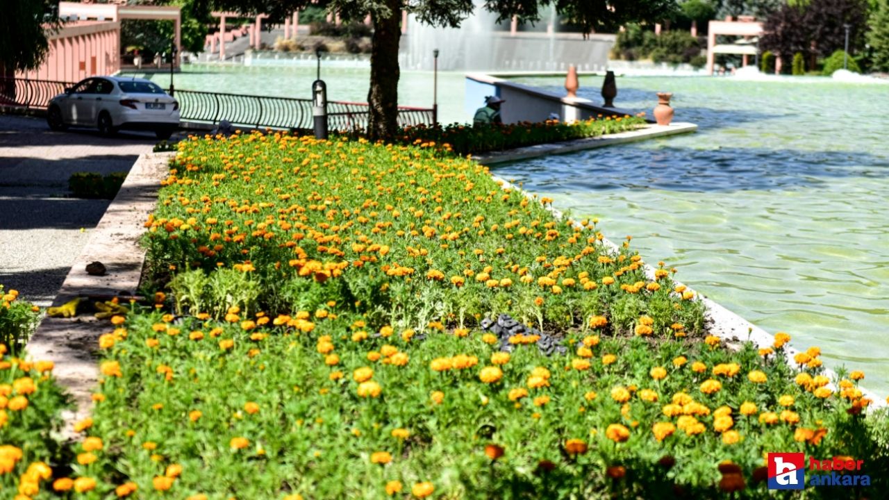 Ankara Büyükşehir Belediyesi'nin peyzaj çalışmaları sonuç verdi! Başkent Ankara yaz çiçekleri ile rengarenk