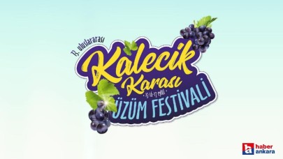 Kalecik'te düzenlenecek Uluslararası Kalecik Karası Üzüm Festivali'nin tarihi belli oldu