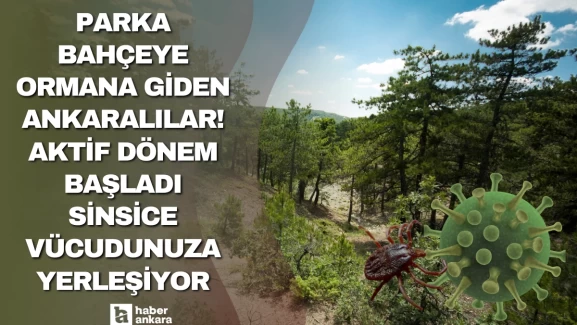 Parka bahçeye ormana giden Ankaralılar! Aktif dönem başladı sinsice vücudunuza yerleşiyor