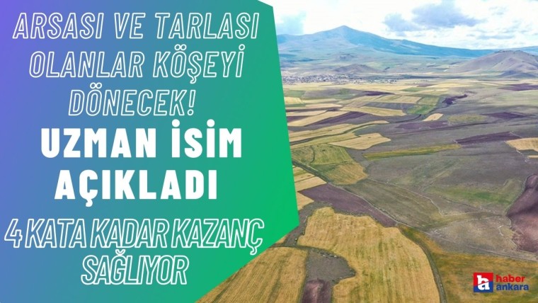 Arsası ve tarlası olan Ankaralılar köşeyi dönecek! Uzman isim açıkladı 4 kata kadar kazanç sağlıyor