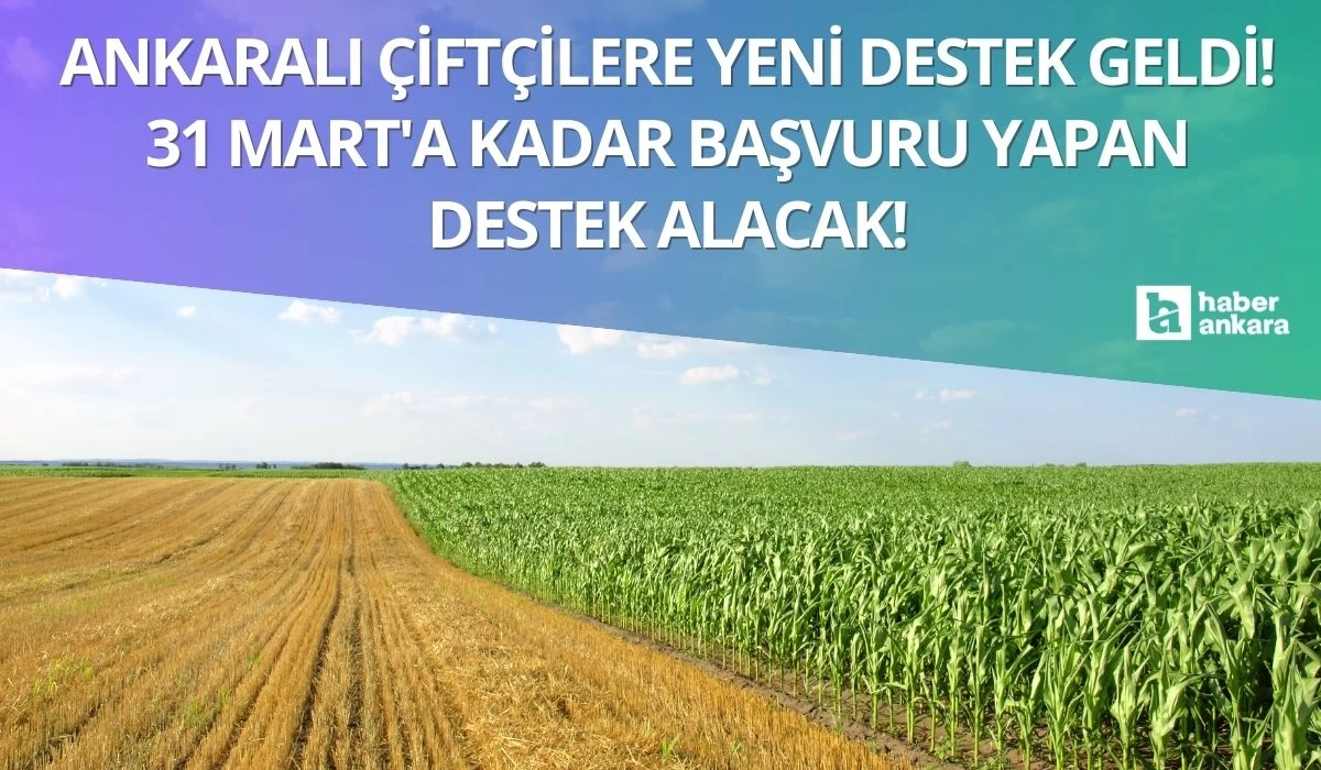 Ankaralı çiftçilere yeni destek geldi! 31 Mart'a kadar başvuru yapan yüzde 90 hibe ile destek alacak!