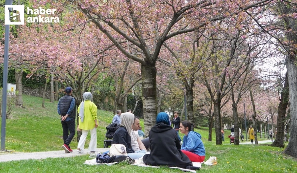 Başkentin parklarına bayramda vatandaşlardan yoğun ilgi!