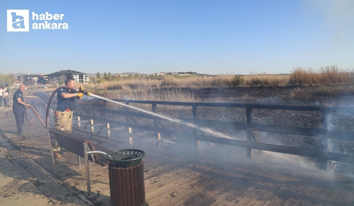 Mogan Gölü kıyısında sazlık alanda çıkan yangın 1 saat sonra söndürüldü!