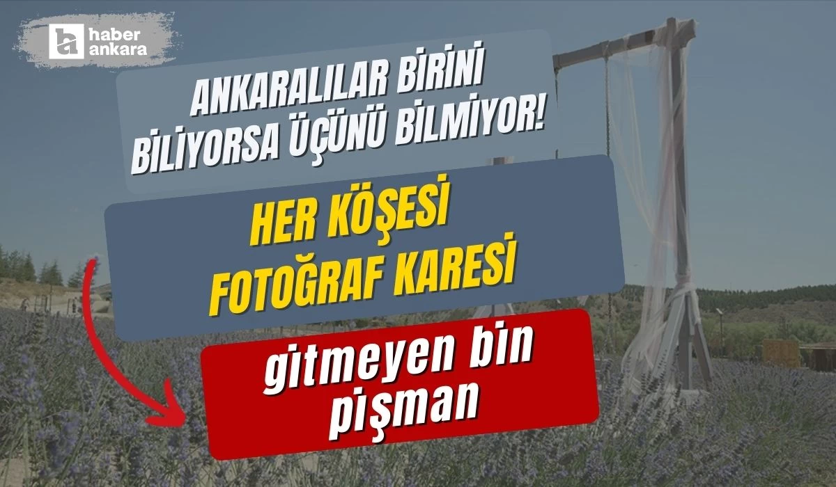 Ankaralılar birini biliyorsa üçünü bilmiyor! Her köşesi fotoğraf karesi gitmeyen bin pişman
