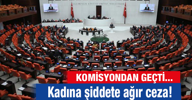 Komisyondan geçti! Kadına ve sağlık çalışanlarına şiddet uygulayanlara ağır ceza!