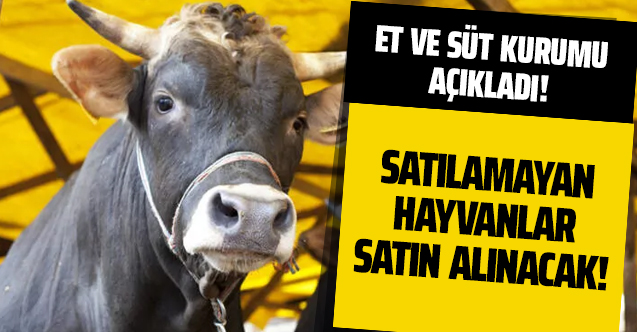 Et ve Süt Kurumu'ndan satılamayan hayvanlar hakkında açıklama!