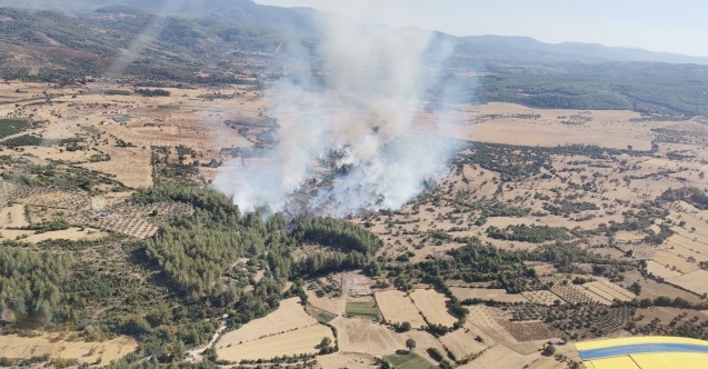 Muğla Milas'ta korkutan orman yangını!