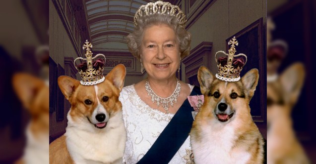 Kraliçe Elizabeth'in köpeklerinin yeni sahibi belli oldu