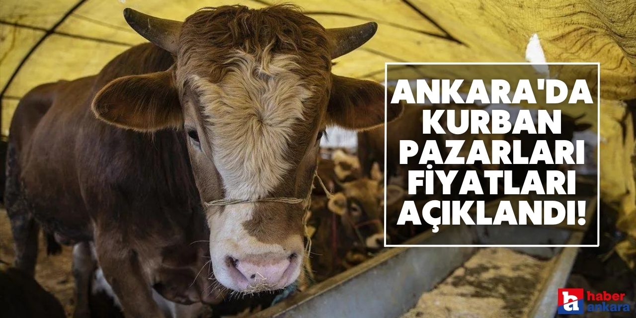 Ankara'da kurban pazarı ve kurbanlık fiyatları belli oldu