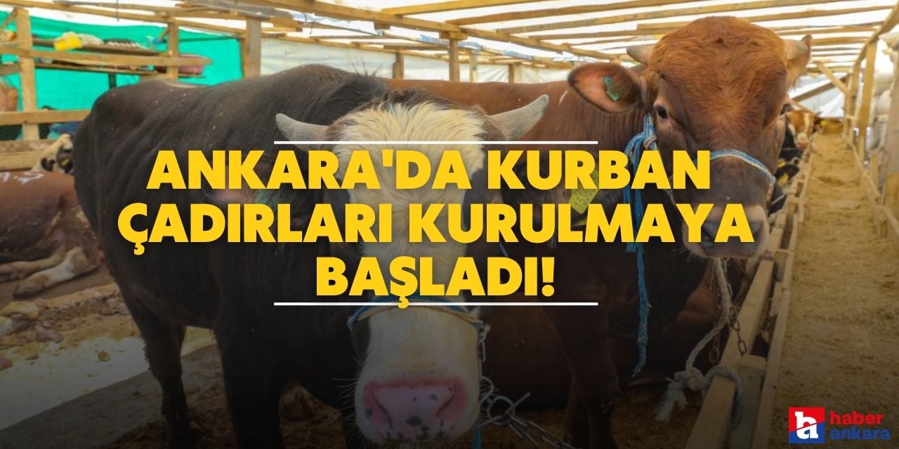 Ankara'da kurban çadırları kurulmaya başladı!