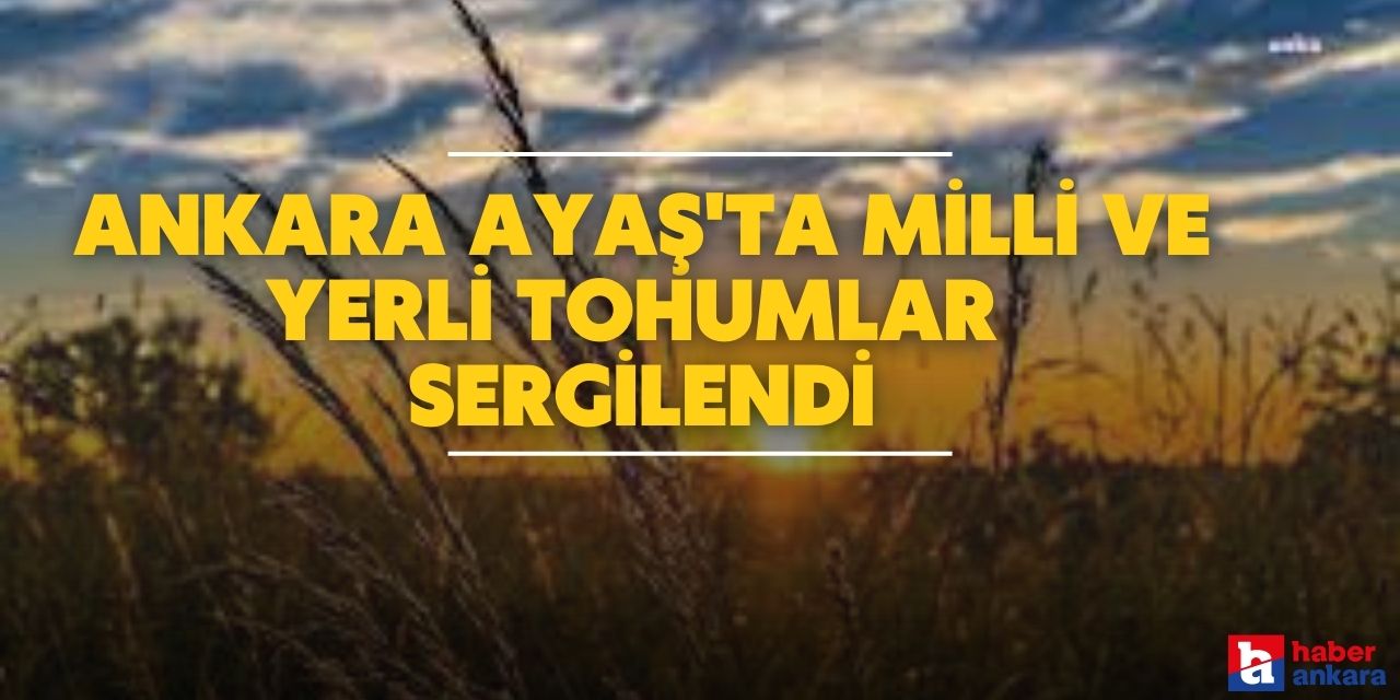 Ankara Ayaş'ta düzenlenen etkinlikte milli ve yerli tohumlar sergilendi