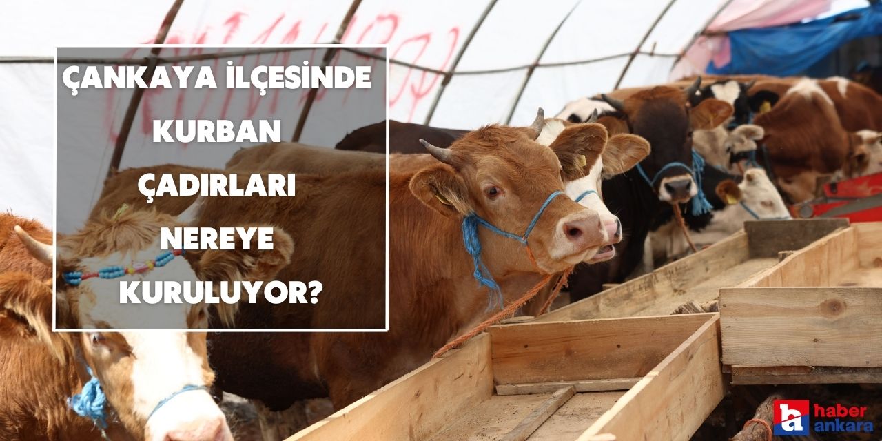 Ankara Çankaya'da kurban çadırları nereye kuruldu?