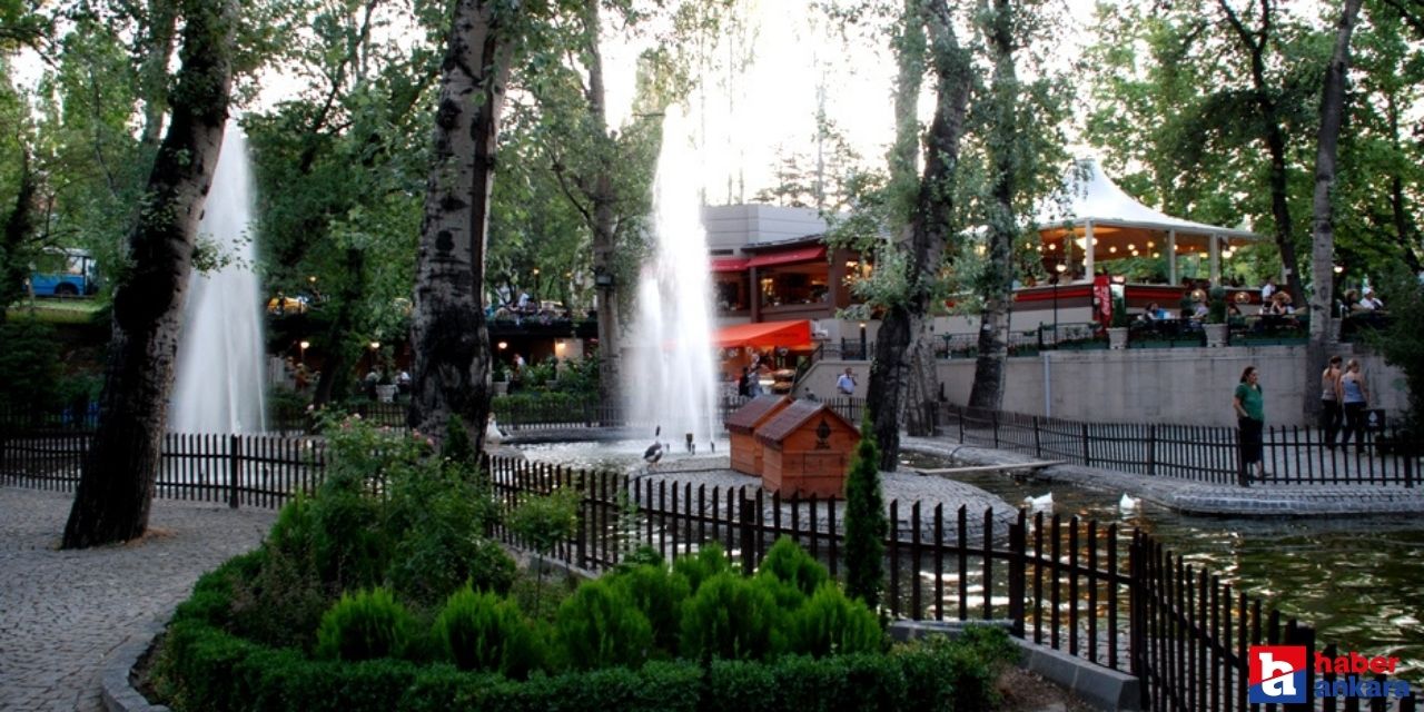 Ankara'nın meşhur parkı! Tunalı Kuğulu Park