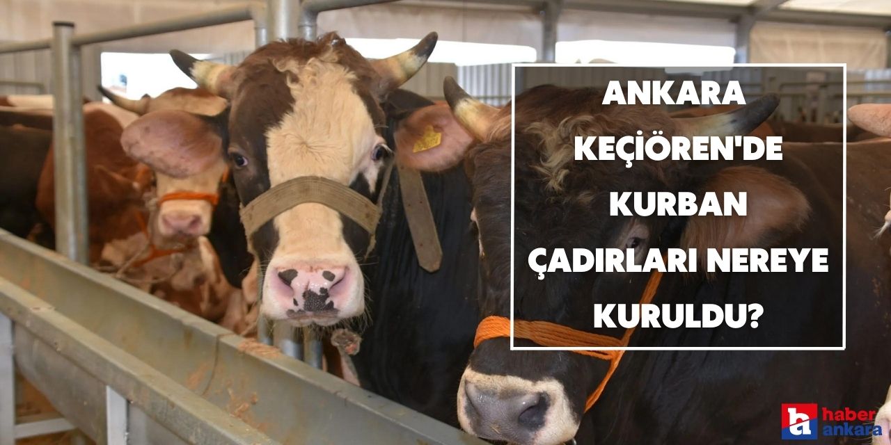 Ankara Keçiören'de kurban çadırları nereye kuruldu?