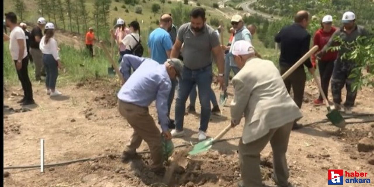 ABB Kızılcahamam'da bin fidanı toprakla buluşturdu!