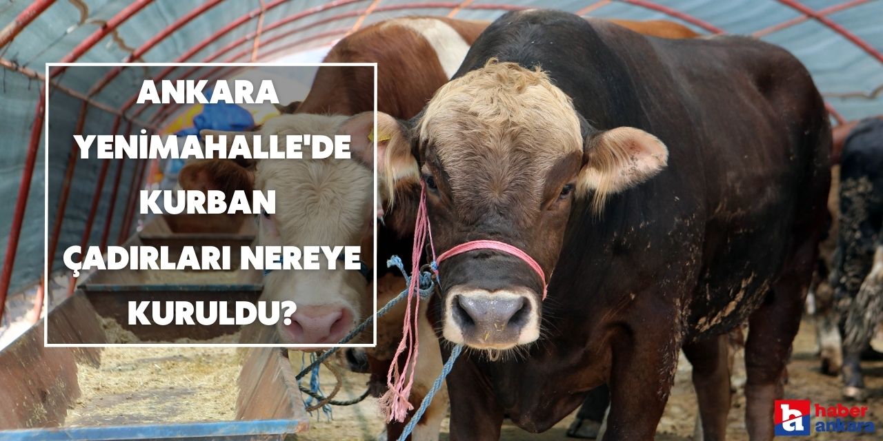 Ankara Yenimahalle'de kurban çadırları nereye kuruldu?