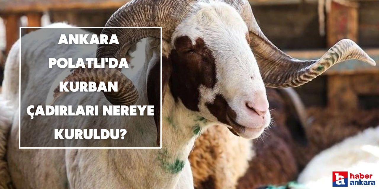 Ankara Polatlı'da kurban çadırları nereye kuruldu?