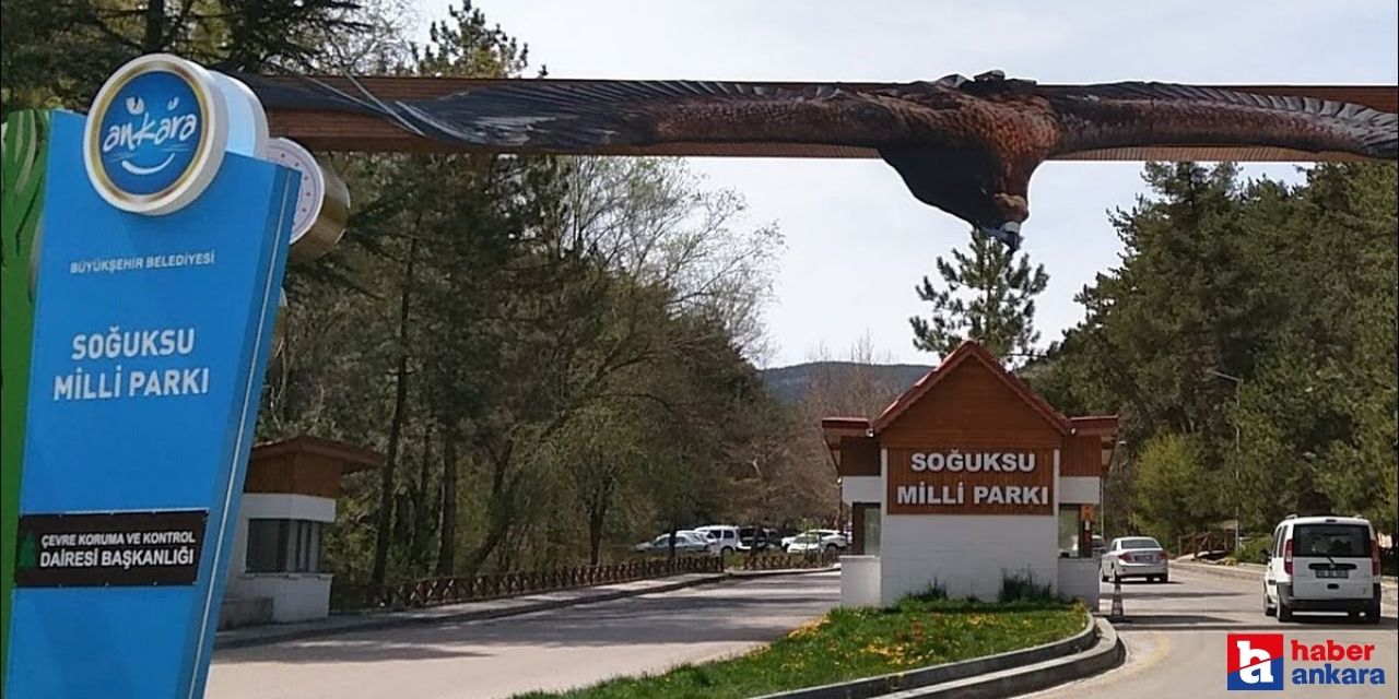 Ankara'nın en çok tercih edilen mekanı Kızılcahamam Soğuksu Milli Parkı!