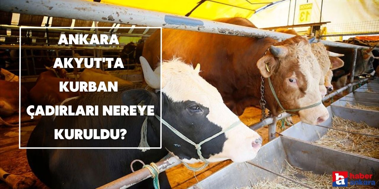 Ankara Akyurt'ta kurban çadırları nereye kuruldu?