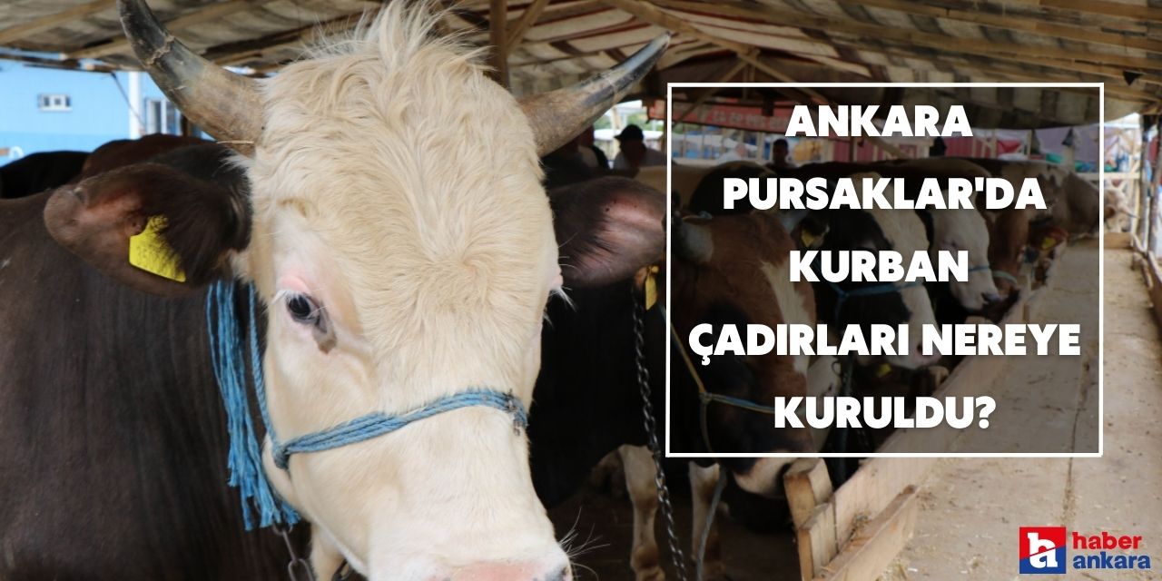 Ankara Pursaklar'da kurban çadırları nereye kuruldu?