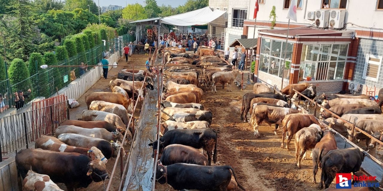 Ankara Keçiören'de kurban kesim alanları neresi?