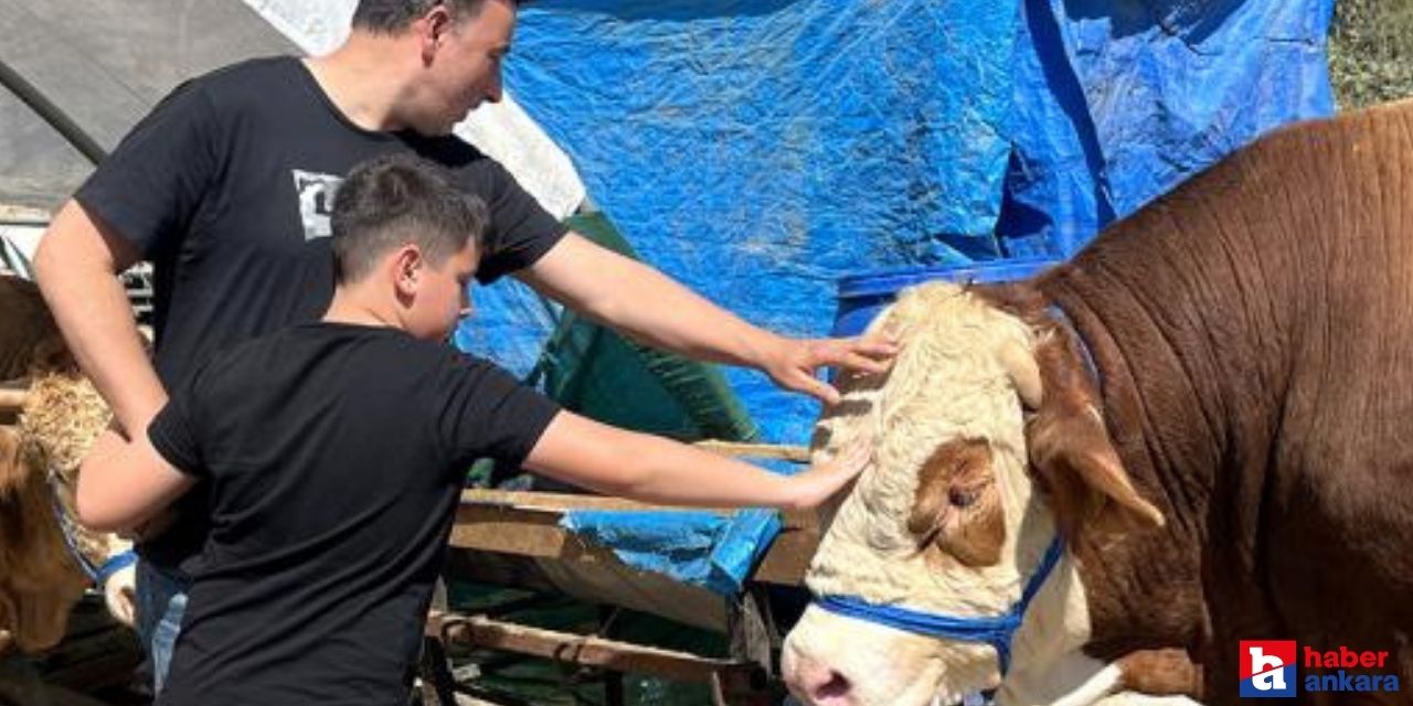 Kurban pazarlarında satışlar devam ediyor