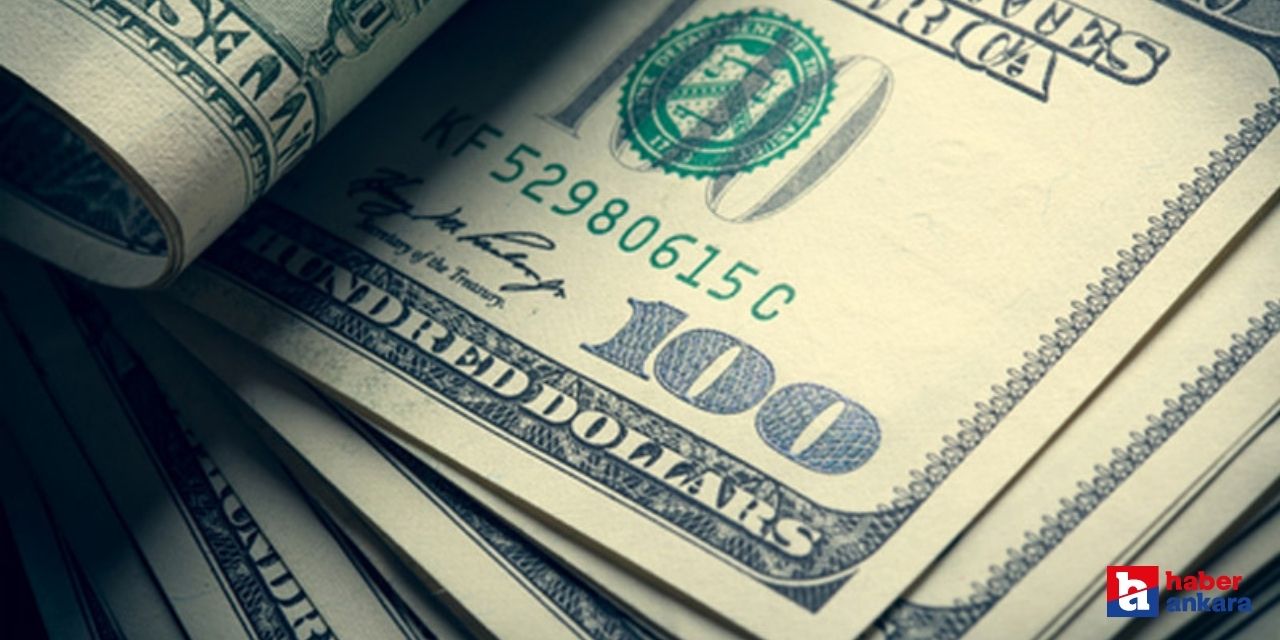 Dolar 28 TL mi olacak? Uzman ekonomistler net rakam verdi