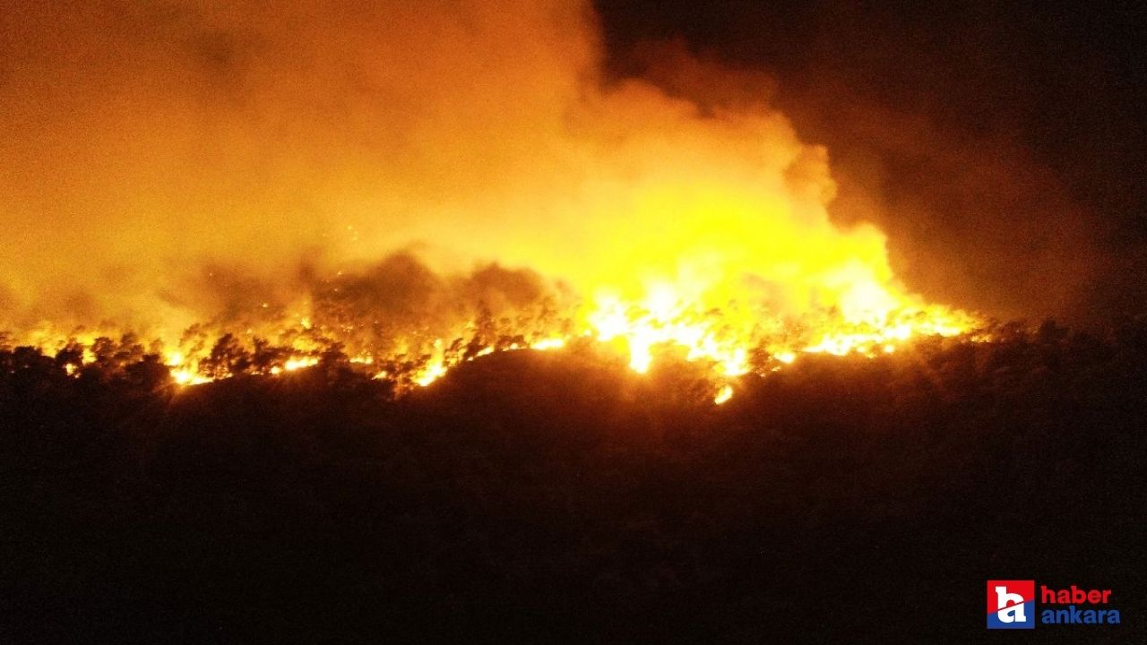 Antalya Kemer'deki orman yangını devam ediyor! Müdahale gece boyunca sürdü!