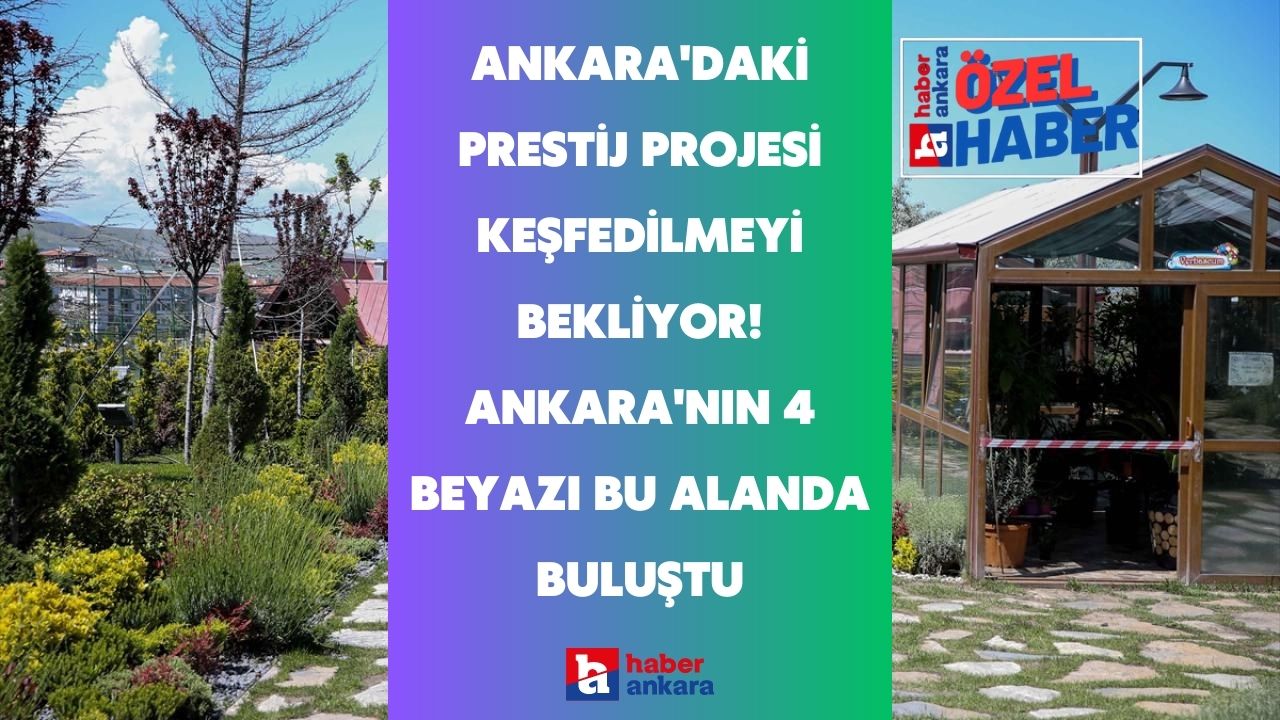 Pursaklar Belediyesi'nin prestij projesi keşfedilmeyi bekliyor! Ankara'nın 4 beyazı bu alanda buluştu