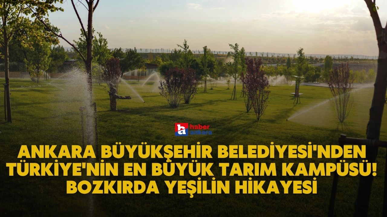 Ankara Büyükşehir Belediyesi'nden Türkiye'nin en büyük tarım kampüsü! Bozkırda yeşilin hikayesi