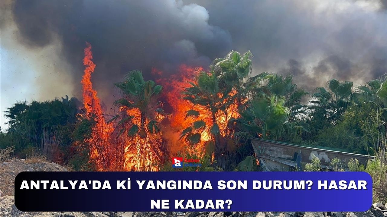 Antalya'da ki yangında son durum? Hasar ne kadar?