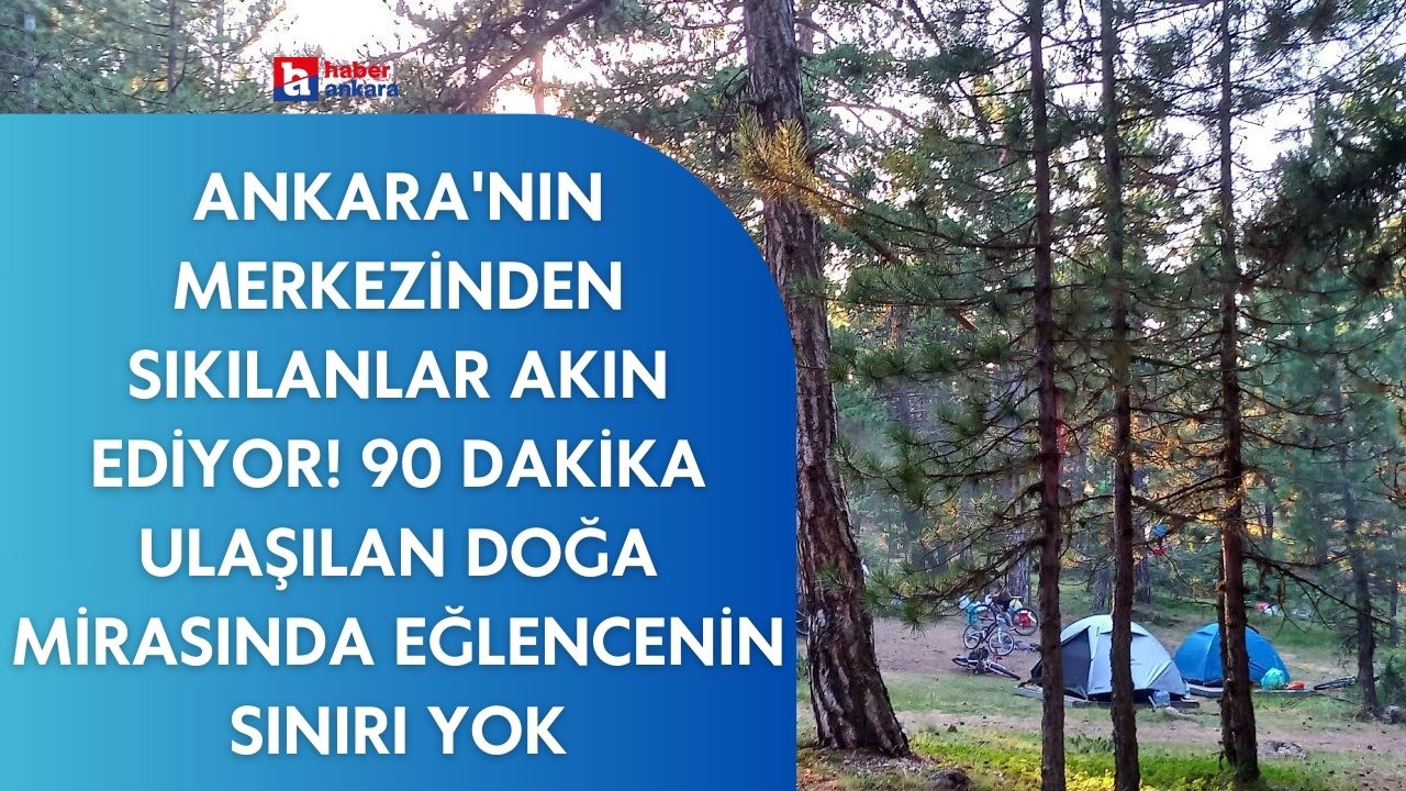 Ankara'nın merkezinden sıkılanları buraya alalım! 90 dakika ulaşılan doğa mirasında eğlencenin sınırı yok