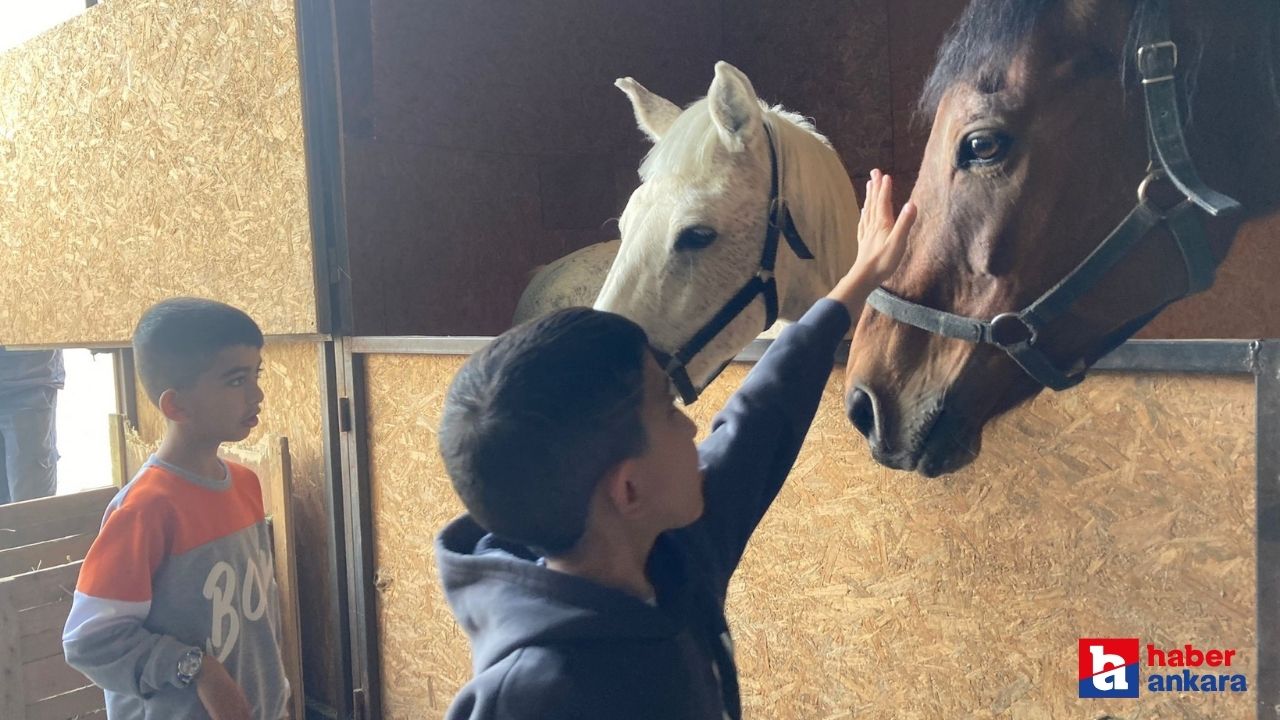 Ankara'da zihinsel engelli çocuklara atlarla terapi verildi