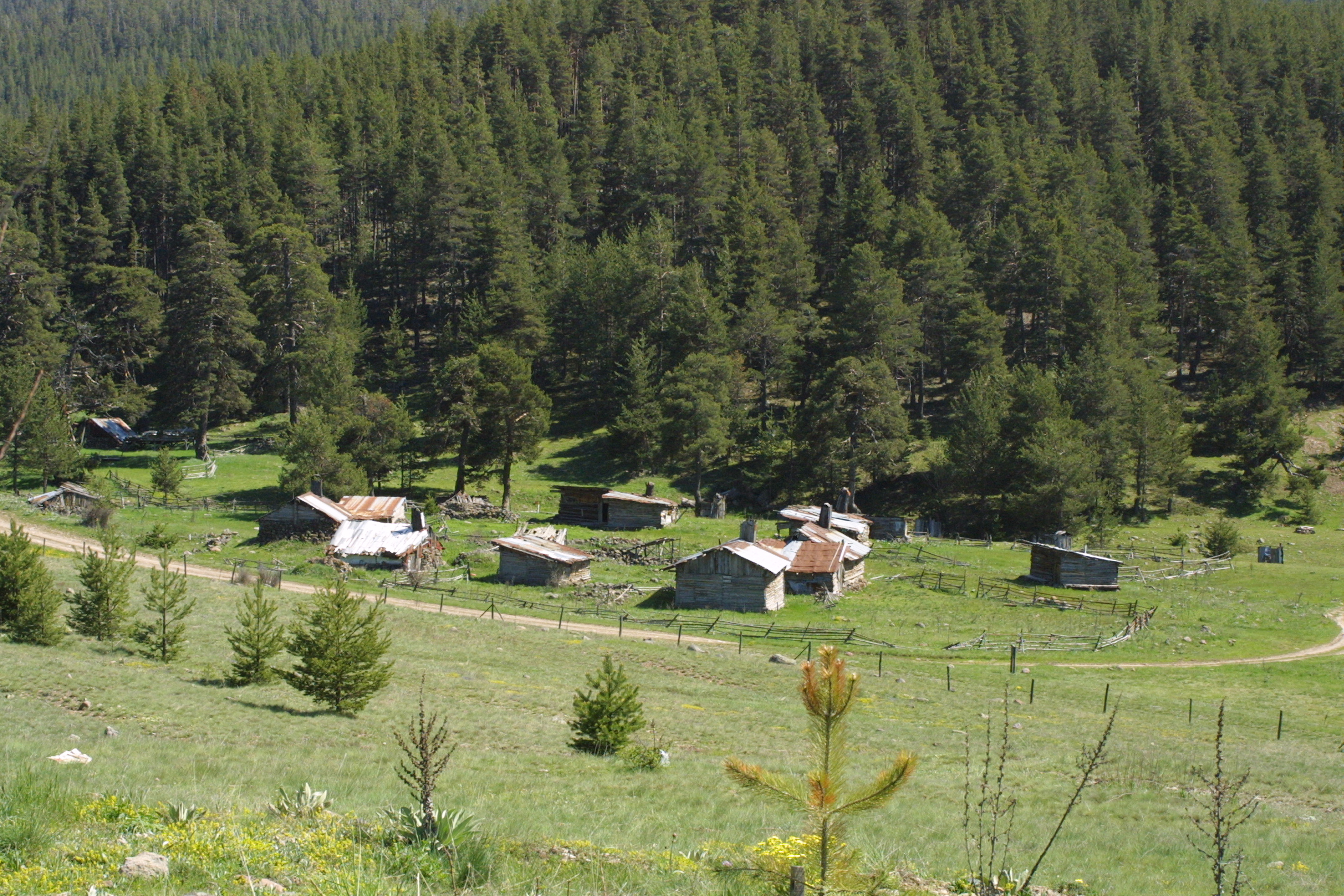 aa-20230627-31534241-31534236-ankaradaki-yaylalar-ziyaretcilerini-bekliyor.jpg